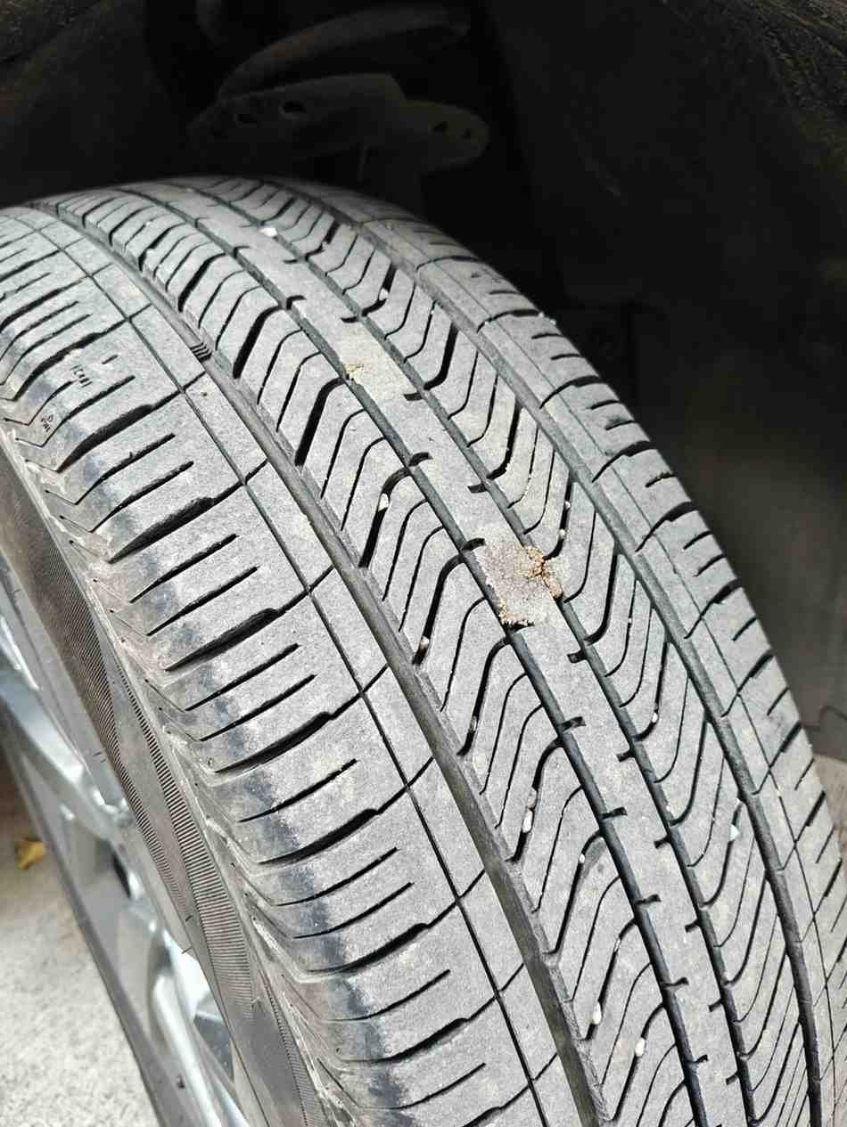 TATA Safari XT - Image 4